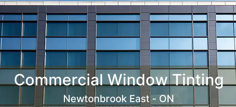  Commercial Window Tinting Newtonbrook East - ON