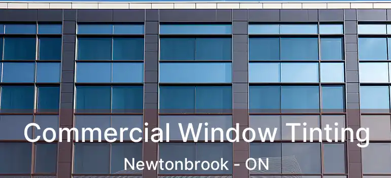  Commercial Window Tinting Newtonbrook - ON