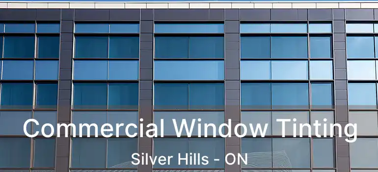  Commercial Window Tinting Silver Hills - ON
