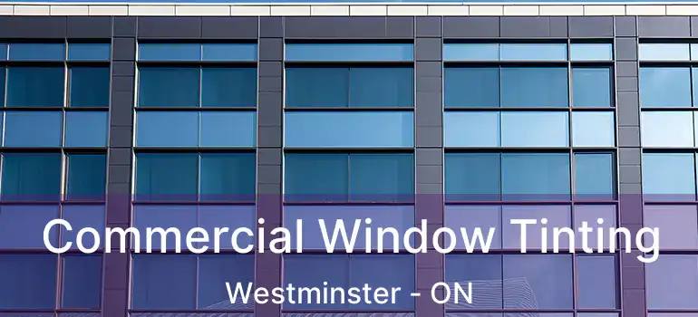  Commercial Window Tinting Westminster - ON