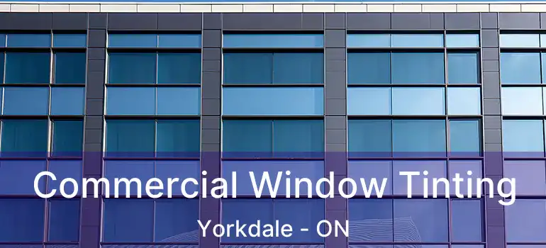  Commercial Window Tinting Yorkdale - ON