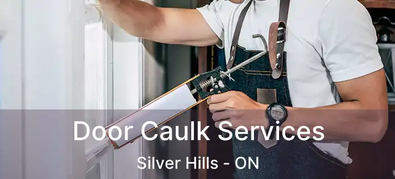  Door Caulk Services Silver Hills - ON