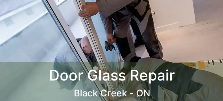  Door Glass Repair Black Creek - ON