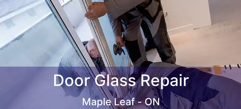  Door Glass Repair Maple Leaf - ON