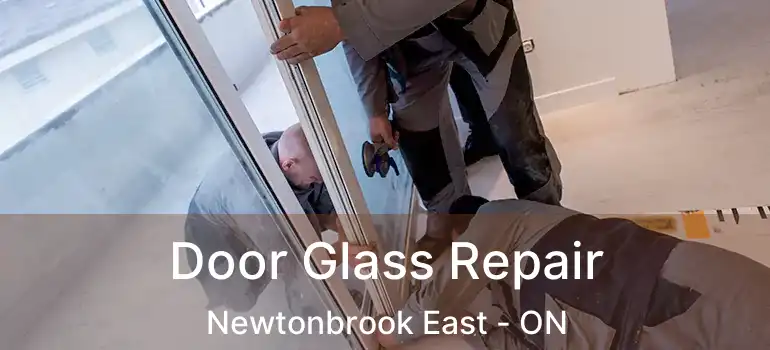  Door Glass Repair Newtonbrook East - ON