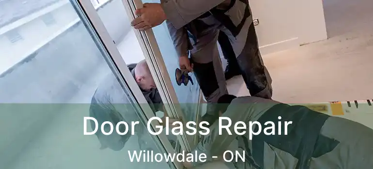  Door Glass Repair Willowdale - ON