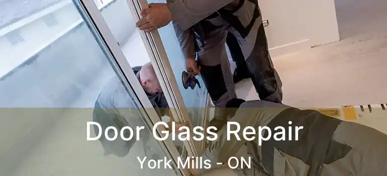  Door Glass Repair York Mills - ON