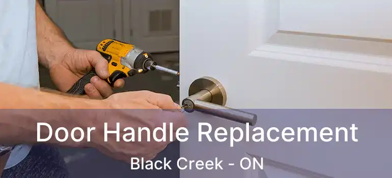  Door Handle Replacement Black Creek - ON