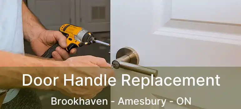  Door Handle Replacement Brookhaven - Amesbury - ON