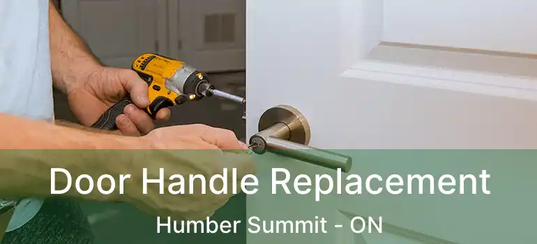  Door Handle Replacement Humber Summit - ON