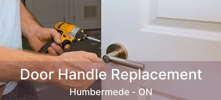  Door Handle Replacement Humbermede - ON