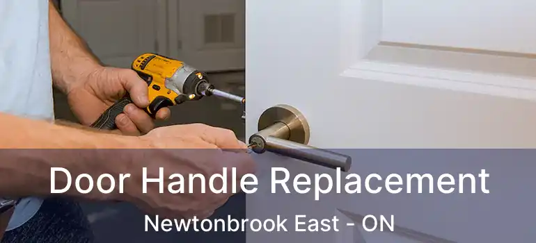  Door Handle Replacement Newtonbrook East - ON