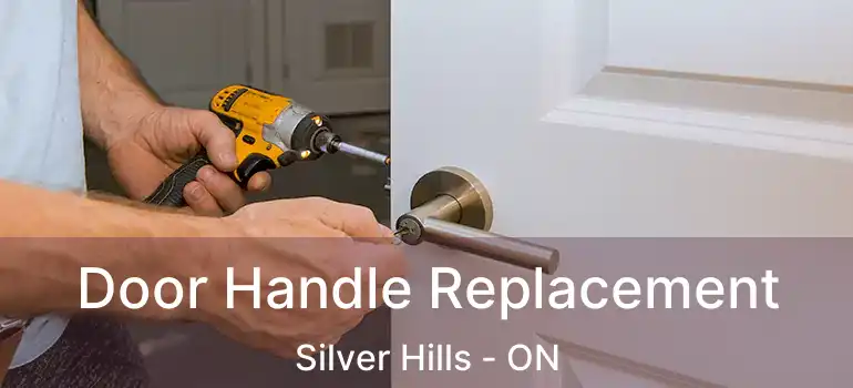  Door Handle Replacement Silver Hills - ON