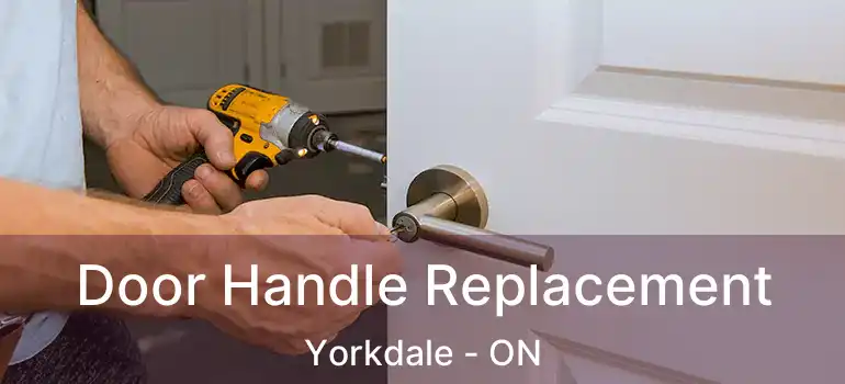  Door Handle Replacement Yorkdale - ON