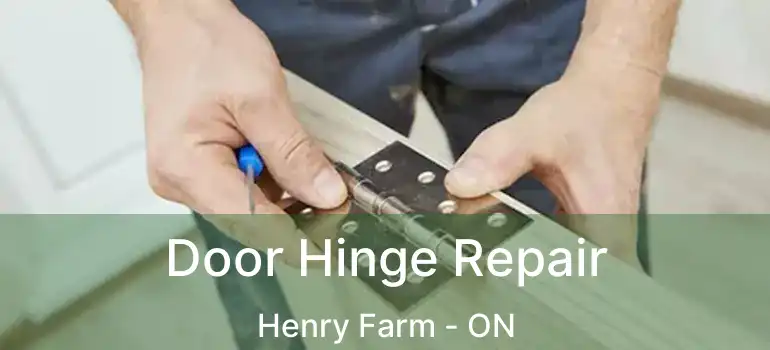  Door Hinge Repair Henry Farm - ON