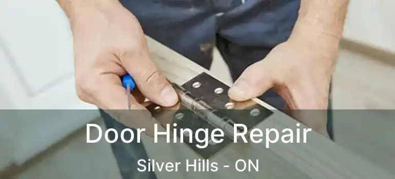  Door Hinge Repair Silver Hills - ON