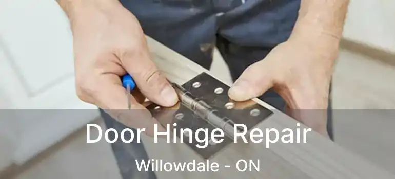  Door Hinge Repair Willowdale - ON