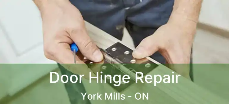  Door Hinge Repair York Mills - ON