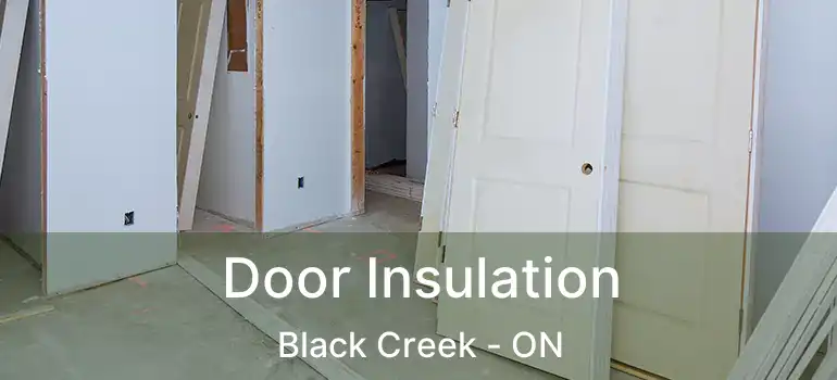  Door Insulation Black Creek - ON