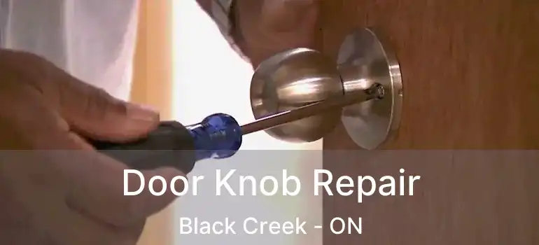  Door Knob Repair Black Creek - ON