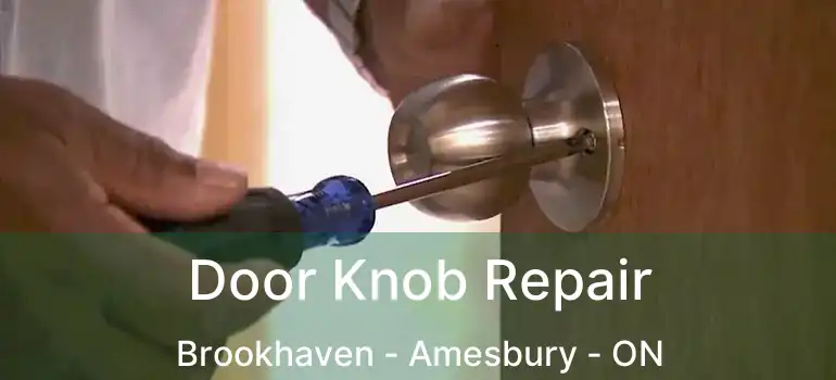  Door Knob Repair Brookhaven - Amesbury - ON