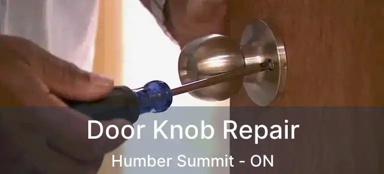  Door Knob Repair Humber Summit - ON