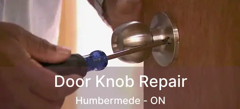  Door Knob Repair Humbermede - ON