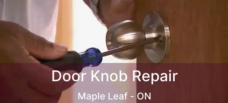  Door Knob Repair Maple Leaf - ON