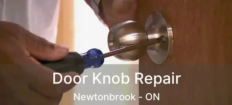  Door Knob Repair Newtonbrook - ON