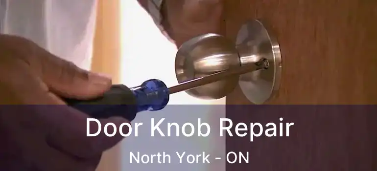  Door Knob Repair North York - ON