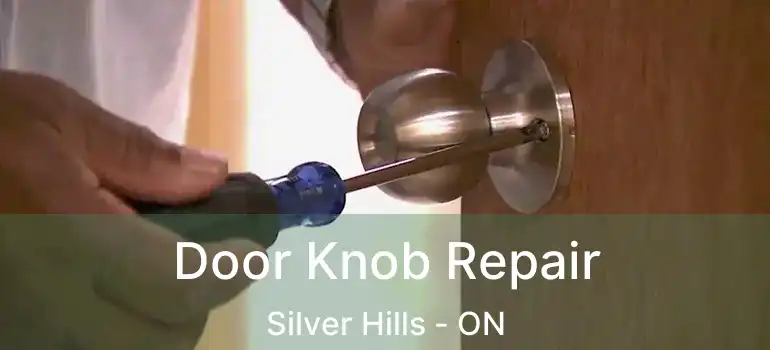  Door Knob Repair Silver Hills - ON