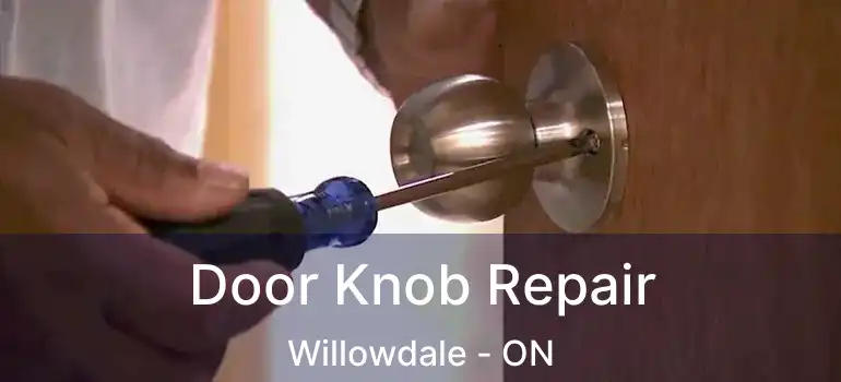  Door Knob Repair Willowdale - ON