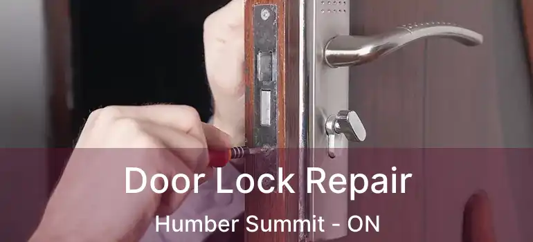  Door Lock Repair Humber Summit - ON
