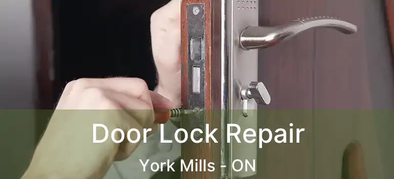  Door Lock Repair York Mills - ON