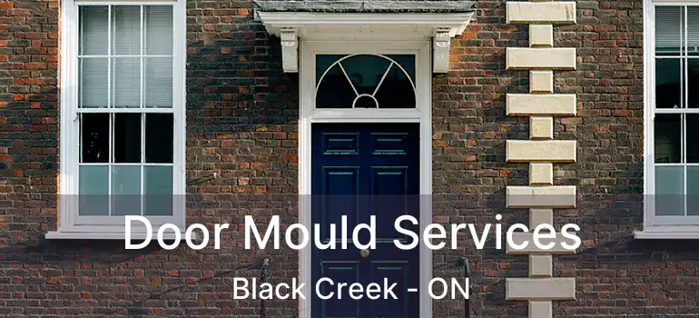  Door Mould Services Black Creek - ON