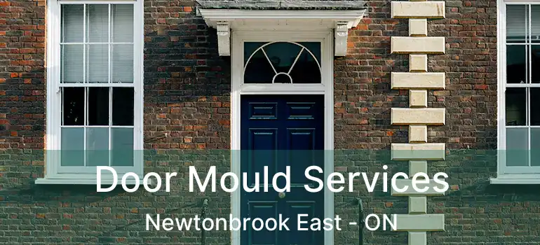  Door Mould Services Newtonbrook East - ON
