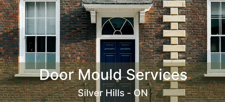  Door Mould Services Silver Hills - ON