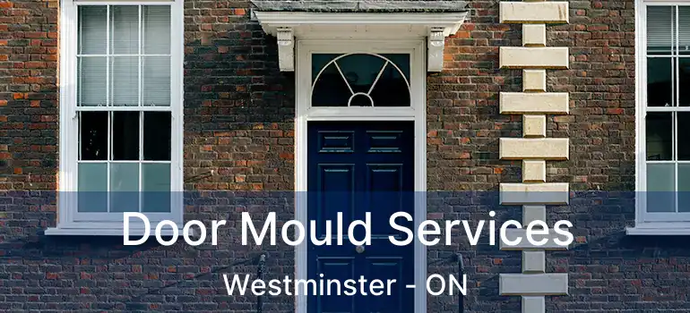  Door Mould Services Westminster - ON