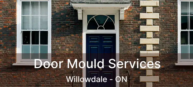  Door Mould Services Willowdale - ON