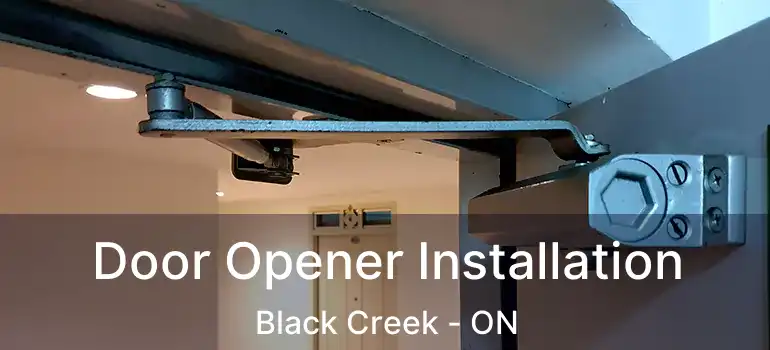  Door Opener Installation Black Creek - ON