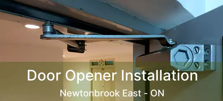  Door Opener Installation Newtonbrook East - ON