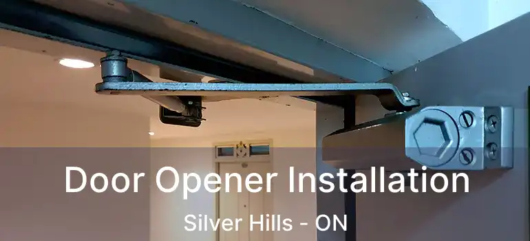 Door Opener Installation Silver Hills - ON