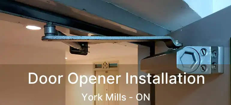  Door Opener Installation York Mills - ON