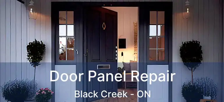  Door Panel Repair Black Creek - ON