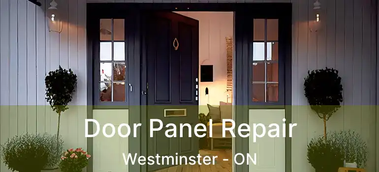  Door Panel Repair Westminster - ON