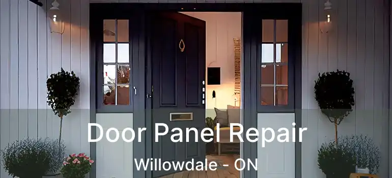  Door Panel Repair Willowdale - ON