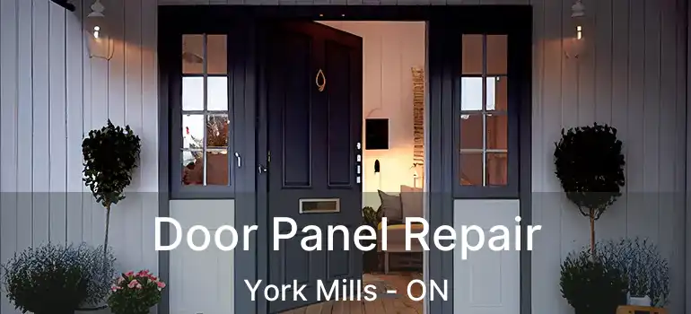  Door Panel Repair York Mills - ON