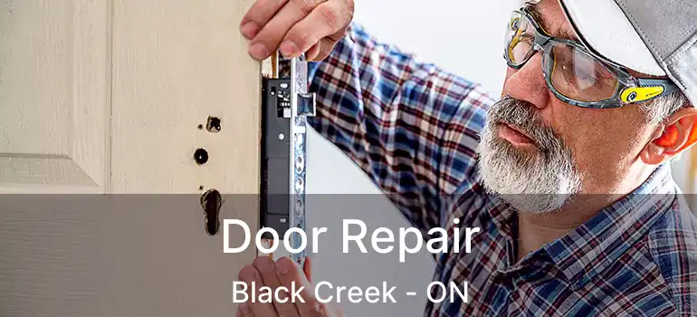  Door Repair Black Creek - ON