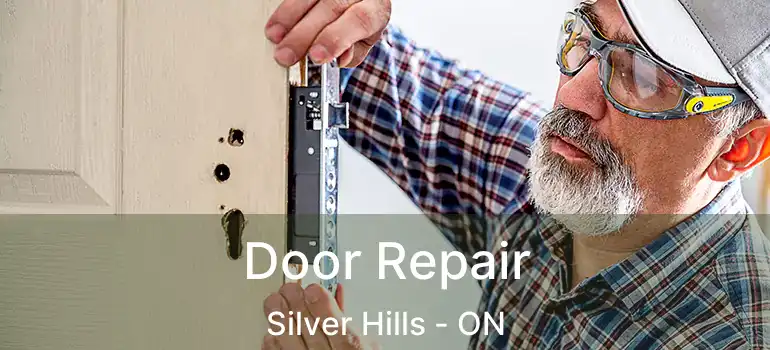  Door Repair Silver Hills - ON