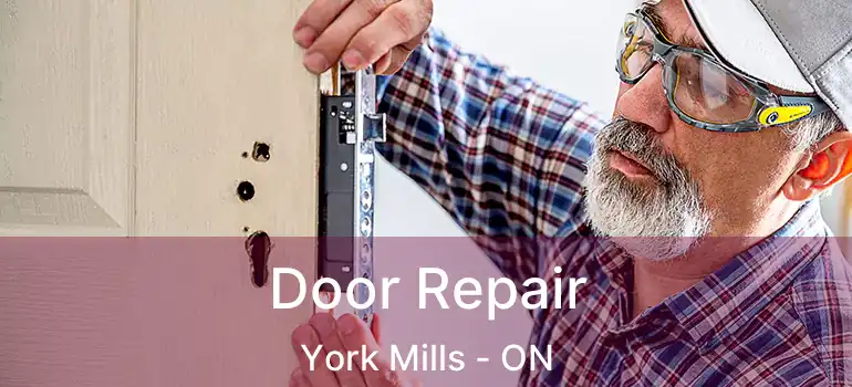  Door Repair York Mills - ON